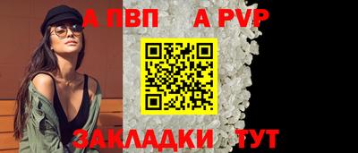 спиды Гатчина