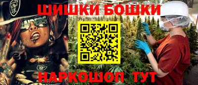 спиды Гатчина