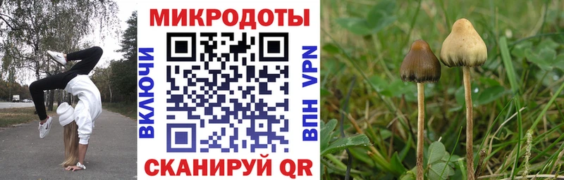 даркнет сайт  Нягань  Галлюциногенные грибы Psilocybine cubensis 